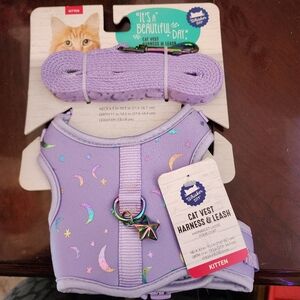 Cute purple cat harness with leash